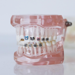 Auto generated site dental products store