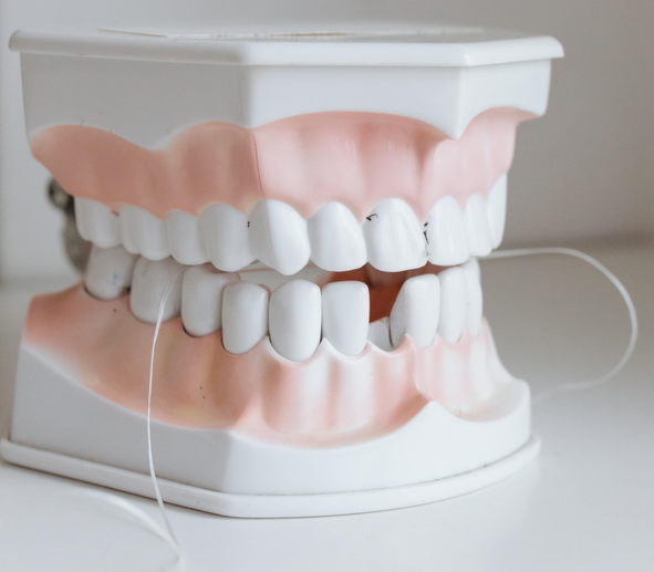 Auto generated site dental products store